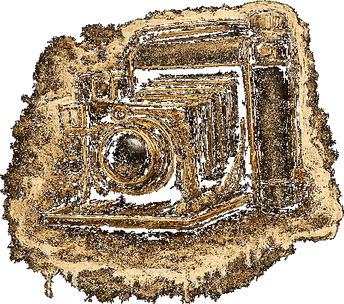 SAC77 workflow step 1: Motif – real photo capture